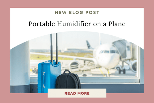 Can I Bring a Portable Humidifier on a Plane? Your Guide to Traveling with the AQUA Portable Nano Mist Humidifier - Eunoia Selects